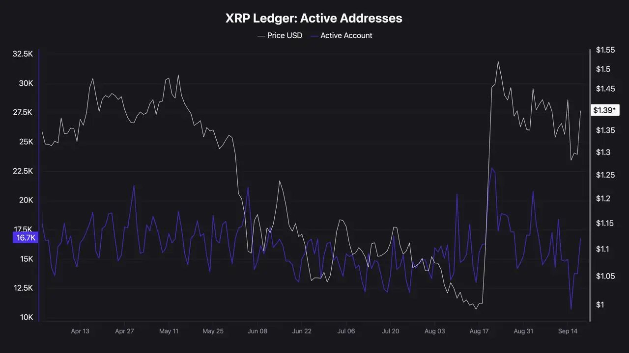 Active XRP Ledger Accounts
