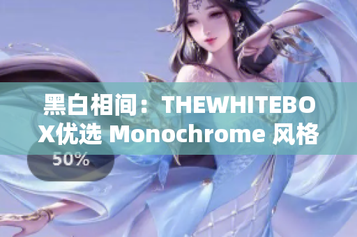 黑白相间：THEWHITEBOX优选 Monochrome 风格