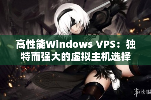 高性能Windows VPS：独特而强大的虚拟主机选择