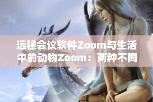 远程会议软件Zoom与生活中的动物Zoom：两种不同的连接方式