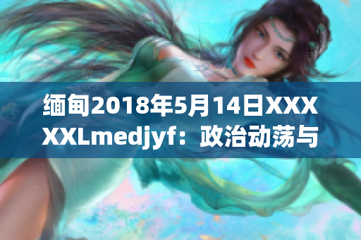 缅甸2018年5月14日XXXXXLmedjyf：政治动荡与国家前景展望