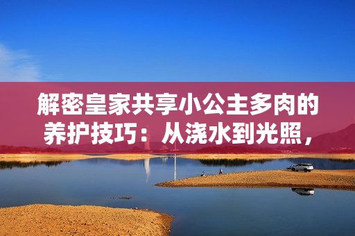 解密皇家共享小公主多肉的养护技巧：从浇水到光照，完美呵护你的绿色宝贝