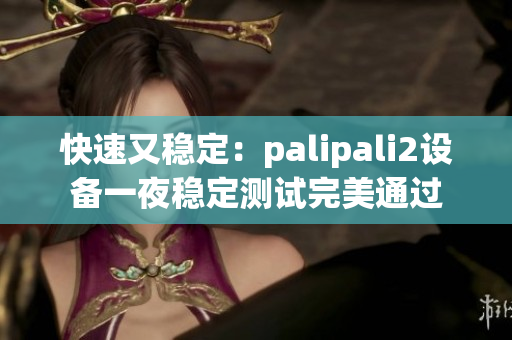 快速又稳定：palipali2设备一夜稳定测试完美通过