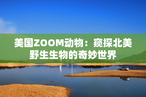 美国ZOOM动物：窥探北美野生生物的奇妙世界