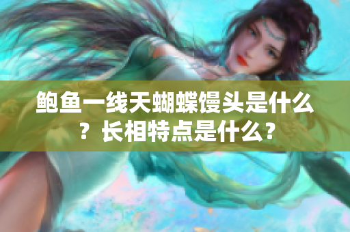 鲍鱼一线天蝴蝶馒头是什么？长相特点是什么？