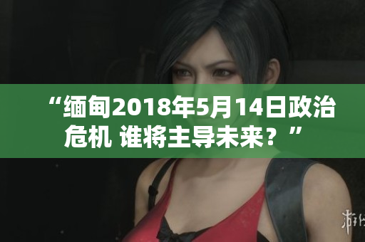 “缅甸2018年5月14日政治危机 谁将主导未来？”