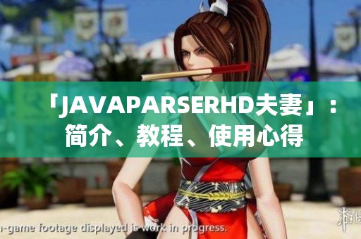 「JAVAPARSERHD夫妻」： 简介、教程、使用心得