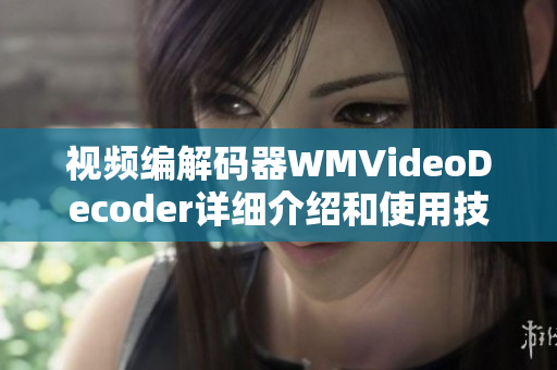 视频编解码器WMVideoDecoder详细介绍和使用技巧