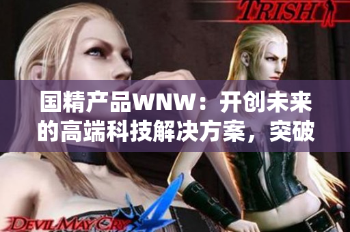 国精产品WNW：开创未来的高端科技解决方案，突破传统界限，助力企业创新与发展