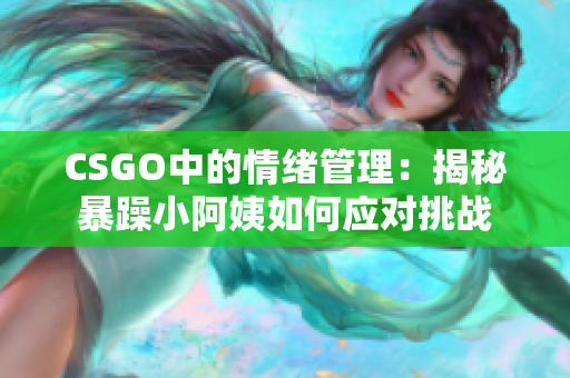 CSGO中的情绪管理：揭秘暴躁小阿姨如何应对挑战