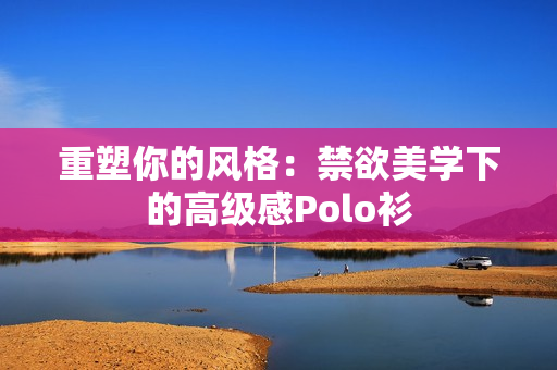 重塑你的风格：禁欲美学下的高级感Polo衫