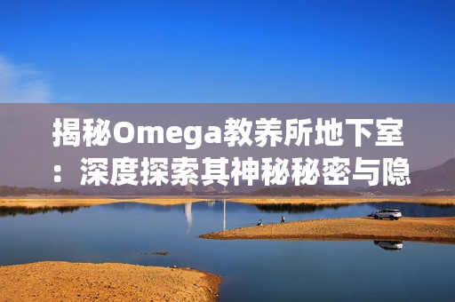 揭秘Omega教养所地下室：深度探索其神秘秘密与隐藏真相