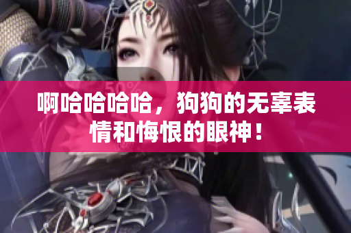 啊哈哈哈哈，狗狗的无辜表情和悔恨的眼神！