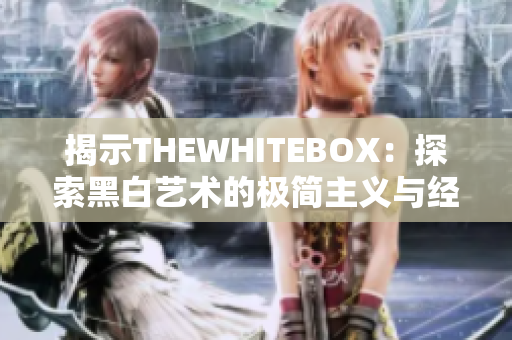 揭示THEWHITEBOX：探索黑白艺术的极简主义与经典之美