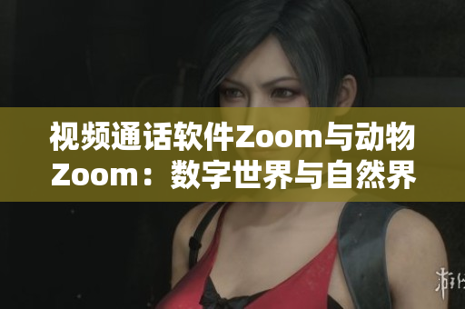 视频通话软件Zoom与动物Zoom：数字世界与自然界的碰撞