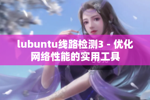 lubuntu线路检测3 - 优化网络性能的实用工具