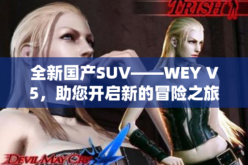 全新国产SUV——WEY V5，助您开启新的冒险之旅！