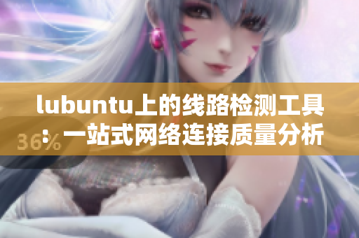 lubuntu上的线路检测工具：一站式网络连接质量分析