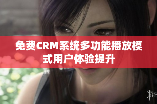 免费CRM系统多功能播放模式用户体验提升