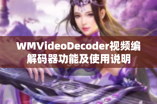 WMVideoDecoder视频编解码器功能及使用说明