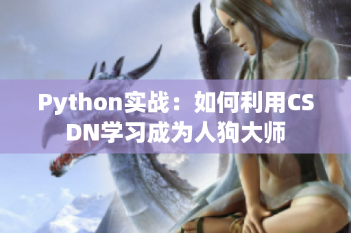 Python实战：如何利用CSDN学习成为人狗大师