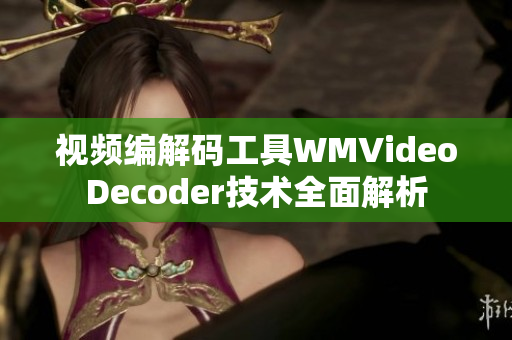 视频编解码工具WMVideoDecoder技术全面解析