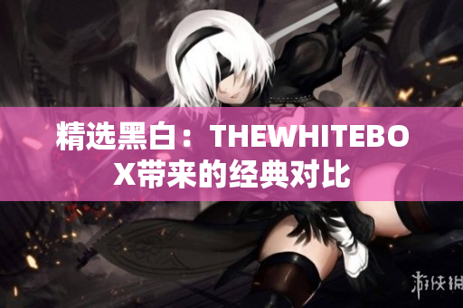 精选黑白：THEWHITEBOX带来的经典对比