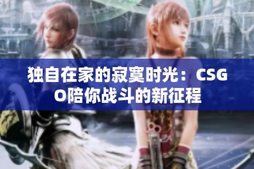 独自在家的寂寞时光：CSGO陪你战斗的新征程