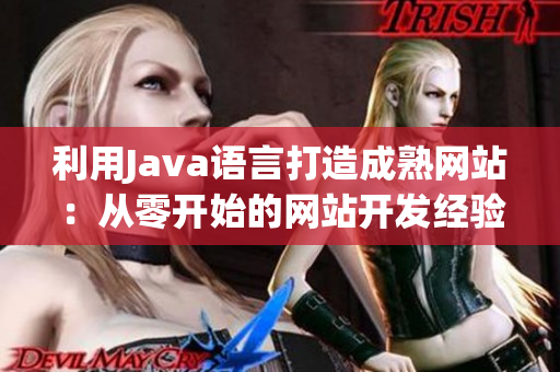 利用Java语言打造成熟网站：从零开始的网站开发经验分享