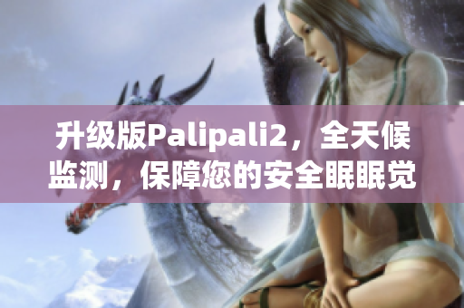 升级版Palipali2，全天候监测，保障您的安全眠眠觉