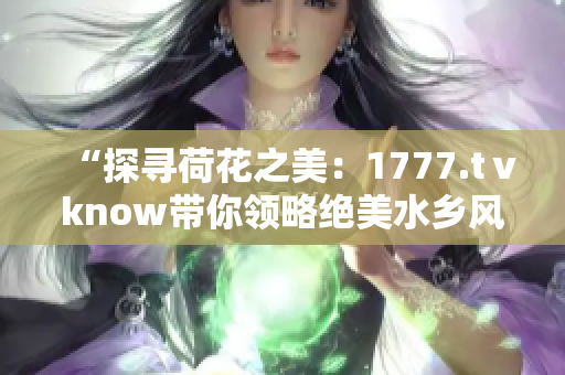 “探寻荷花之美：1777.tⅴknow带你领略绝美水乡风情”