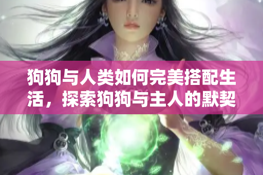 狗狗与人类如何完美搭配生活，探索狗狗与主人的默契之道