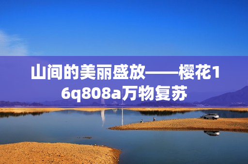 山间的美丽盛放——樱花16q808a万物复苏