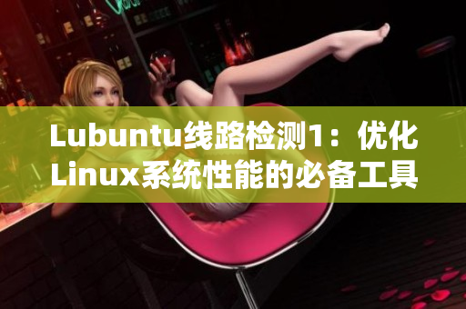 Lubuntu线路检测1：优化Linux系统性能的必备工具，全面测试您的电脑网络连接