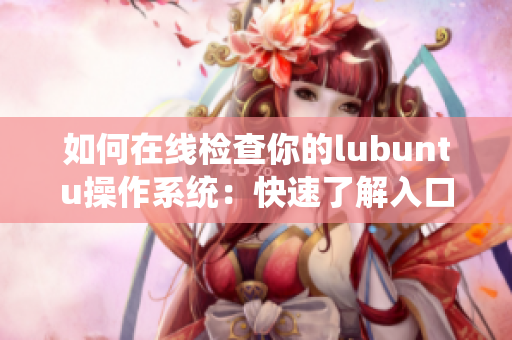 如何在线检查你的lubuntu操作系统：快速了解入口及步骤