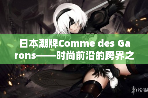 日本潮牌Comme des Garons——时尚前沿的跨界之作