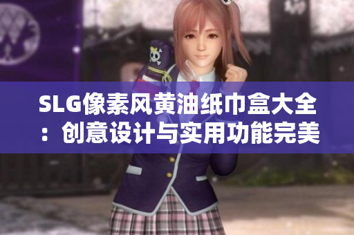 SLG像素风黄油纸巾盒大全：创意设计与实用功能完美结合