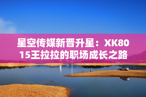 星空传媒新晋升星：XK8015王拉拉的职场成长之路