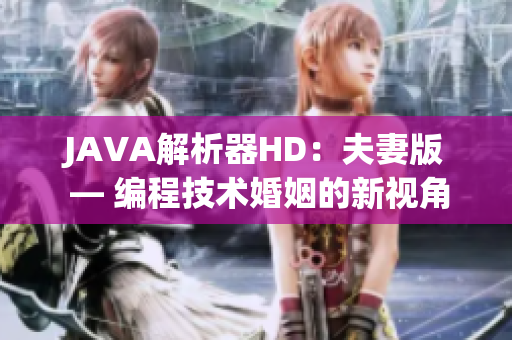 JAVA解析器HD：夫妻版 — 编程技术婚姻的新视角