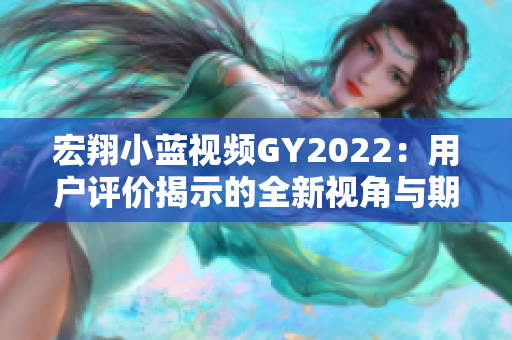 宏翔小蓝视频GY2022：用户评价揭示的全新视角与期望