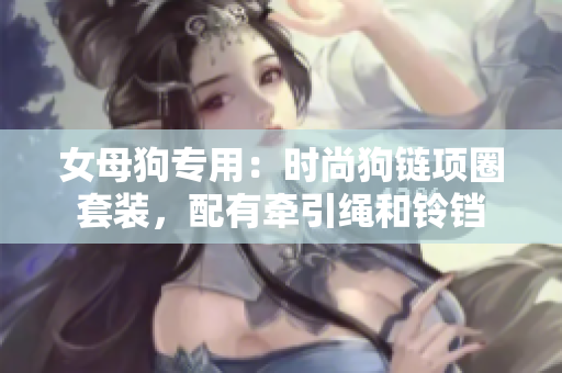 女母狗专用：时尚狗链项圈套装，配有牵引绳和铃铛