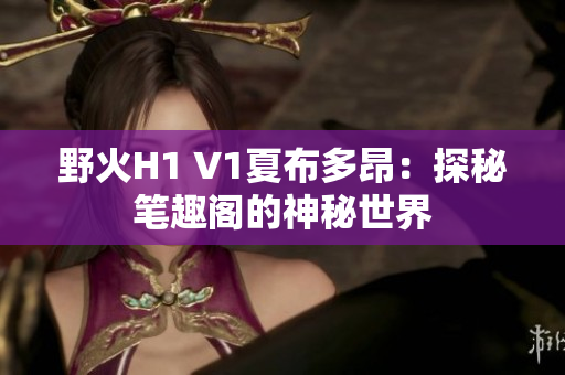 野火H1 V1夏布多昂：探秘笔趣阁的神秘世界