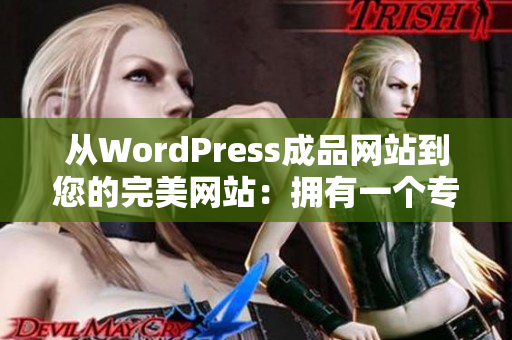 从WordPress成品网站到您的完美网站：拥有一个专业网站从未如此简单