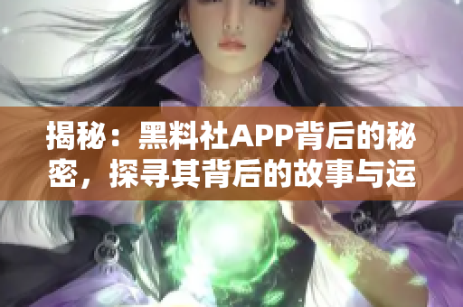 揭秘：黑料社APP背后的秘密，探寻其背后的故事与运营策略