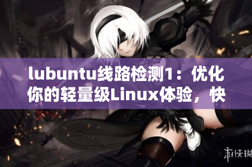 lubuntu线路检测1：优化你的轻量级Linux体验，快速并稳定的路线检测工具