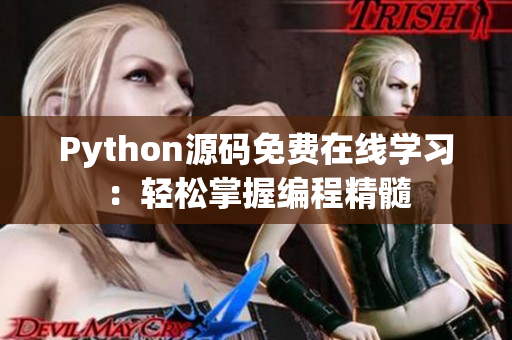 Python源码免费在线学习：轻松掌握编程精髓