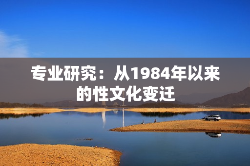 专业研究：从1984年以来的性文化变迁