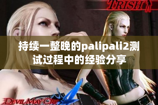 持续一整晚的palipali2测试过程中的经验分享