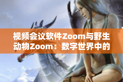 视频会议软件Zoom与野生动物Zoom：数字世界中的连接与奇妙对比