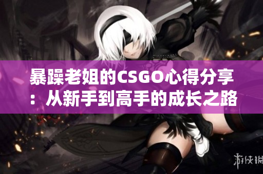 暴躁老姐的CSGO心得分享：从新手到高手的成长之路详解